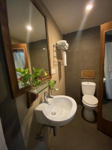 哈夫洛克岛Wild Orchid的一间带水槽、卫生间和镜子的浴室