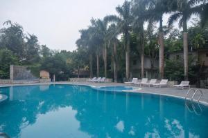 索拉哈奇旺天堂酒店的一个带椅子和棕榈树的大型蓝色游泳池