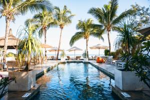黑河区海湾度假屋的度假村内带棕榈树和遮阳伞的游泳池