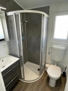 沙博伊茨Beach Chalet的带淋浴、卫生间和盥洗盆的浴室