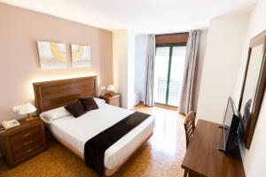 庞特维德拉马德里酒店的一间卧室配有一张床、一张书桌和一台电视