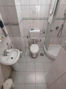 泽尼察阿尔米汽车旅馆的浴室配有卫生间、盥洗盆和淋浴。