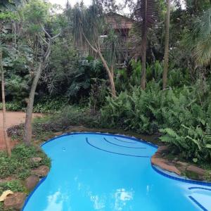 LobambaJackalberry Cottage的花园中的一个蓝色泳池