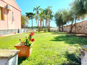 锡拉库扎La Casa di Ludovica, Punta della Mola的草地上花盆的院子