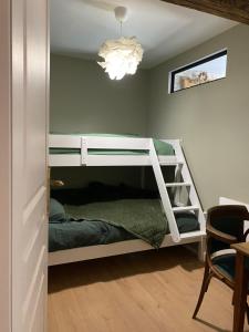 努瓦埃尔Logement entier - L'Appart des anges 1的一间卧室配有带梯子的双层床