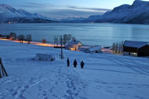 Svensby索尔海姆弗列特斯葛特山林小屋的一群人在雪中行走