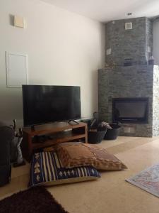 卡洛帕尼亚伊奥蒂斯Glykoharama Cottage的客厅配有平面电视和沙发。