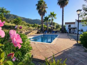 高辛Casa Rural Casa del Tigre的一座棕榈树游泳池和一座房子