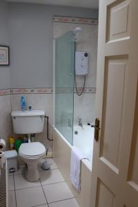 克洛纳基尔蒂Ashe Street的浴室配有卫生间、淋浴和盥洗盆。
