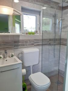 科巴里德Hiša Planica的浴室配有卫生间、淋浴和盥洗盆。