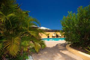 Cul de SacSpacious Villa with Ocean and Mountain view-4 beds的一座别墅前方的棕榈树游泳池