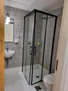 哈尔基斯COZIDEA apartments CHALKIDA的带淋浴、卫生间和盥洗盆的浴室