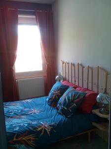 比桑Escale Bussenette的一间卧室配有一张带蓝色床单的床和一扇窗户。