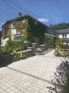 Dún LuáinBlackrath Farmhouse的停在大楼前的两辆黄色自行车