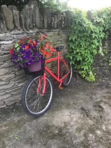 Dún LuáinBlackrath Farmhouse的一辆红色的自行车,装满鲜花篮子
