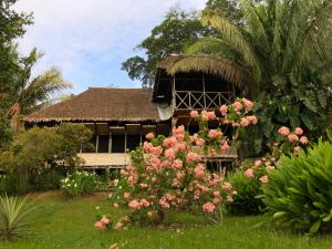 马尔多纳多港Sotupa Eco Lodge的前面有一束鲜花的房子