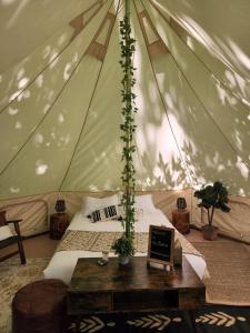 Miller LakeGrotto Getaway的帐篷内的卧室,配有一张床和一张桌子