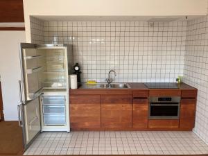 布鲁塞尔Jolie studio avec vue sur l'Atomium的厨房配有冰箱和水槽