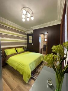 亚历山大Luxury Mamoura Alexandria Apartment的一间卧室配有一张带黄色枕头的大型绿色床。