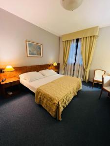 奥索纳Hotel Motel Europa的酒店客房带一张床、一张桌子和椅子