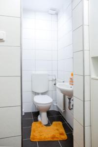 腓特烈斯科格Landhaus Nordsee-Peerhuus的白色的浴室设有卫生间和水槽。