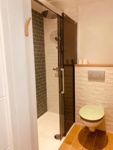 梧玖Gîtes bo bis - Maisonnette de charme - Vougeot的一间带卫生间和玻璃淋浴间的浴室
