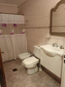 耶尔瓦布埃纳BRISAS DE SAN JAVIER的一间带卫生间和水槽的浴室