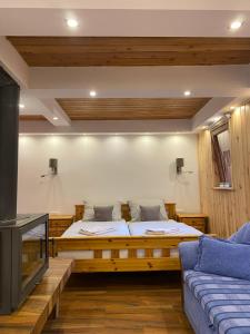 普热谢卡Chybotek Premium的客房设有床、沙发和电视。