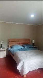 乌树故里Old Tower Ushguli的一间卧室配有一张带蓝色枕头的大床