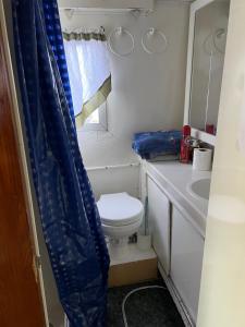 亚历山德里亚贝Hills Motel & Marina的一间带卫生间和水槽的小浴室