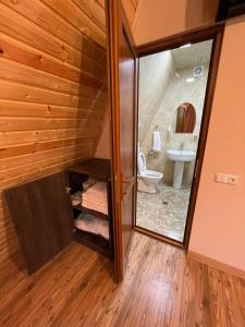 KapanNavasard Resort的客房内设有带水槽和卫生间的浴室