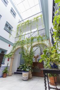 塞维利亚圣克鲁兹套房公寓酒店的一座有一堆盆栽植物的建筑