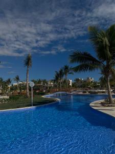 塞拉莱Hawana salalah Apartment Mimosa的度假村内一座种有棕榈树的大型游泳池