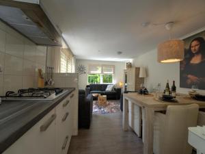 Holiday home in Hattemerbroek with smart TV的厨房或小厨房