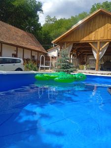 约什沃弗Kiscsermely Vendégház的一座房子里游泳池里的绿色充气剂
