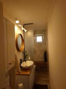 巴亚马雷Casa Haiducului的一间带水槽和镜子的浴室