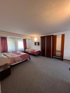 萨拉热窝Hotel Begić的一间酒店客房,设有两张床和电视
