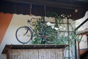 SchöllnachGartenwohnung im Gut Sonnenwald的自行车挂在鲜花盛开的墙上