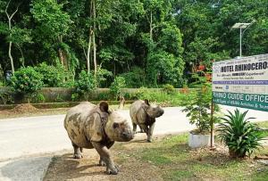 索拉哈Hotel Rhinoceros-Homestay的两个河马沿着路的标志旁走