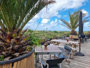 荷兰之角Lazy cabin near Hoek van Holland beach的相册照片