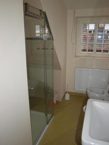 利托梅日采达利米尔卡公寓的一间带玻璃淋浴和卫生间的浴室