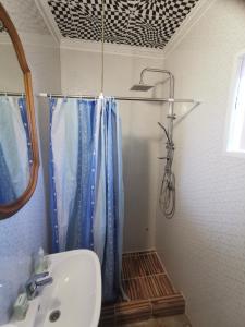 蒂萨新城Edit Vendégház的浴室配有淋浴帘和盥洗盆。