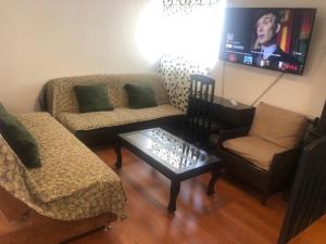普埃布拉Espacios de Pando的客厅配有两张沙发和一台电视机