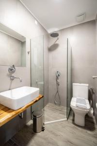 沃洛斯飞利浦酒店的一间带水槽、淋浴和卫生间的浴室