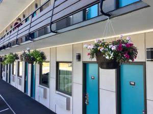 米苏拉Travelodge Inn & Suites by Wyndham Missoula University Park的一排挂在墙上的鲜花门