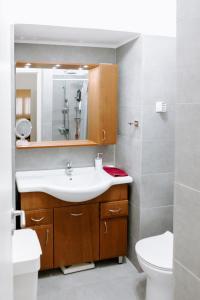 雅典Pine trees 55的一间带水槽、卫生间和镜子的浴室