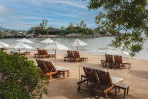 塞尔苏拉穆斯州长镇Ponta dos Ganchos Exclusive Resort的海滩上的一组椅子和遮阳伞