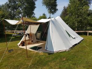 内斯Ameland tentenverhuur Ameland的草原上的帐篷