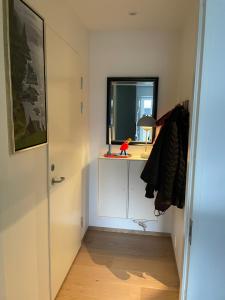 托尔斯港Nice apartment in the middel of Tórshavn的走廊上设有一张带镜子的桌子和一扇窗户