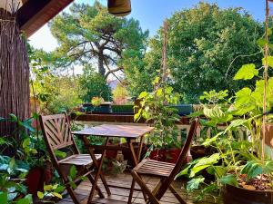 索尔特奥瑟戈尔Nature & Sun, Natural lifestyle - Hossegor的种有植物的庭院里的桌椅